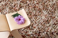 Brink & Campman Rocks vloerkleed-1